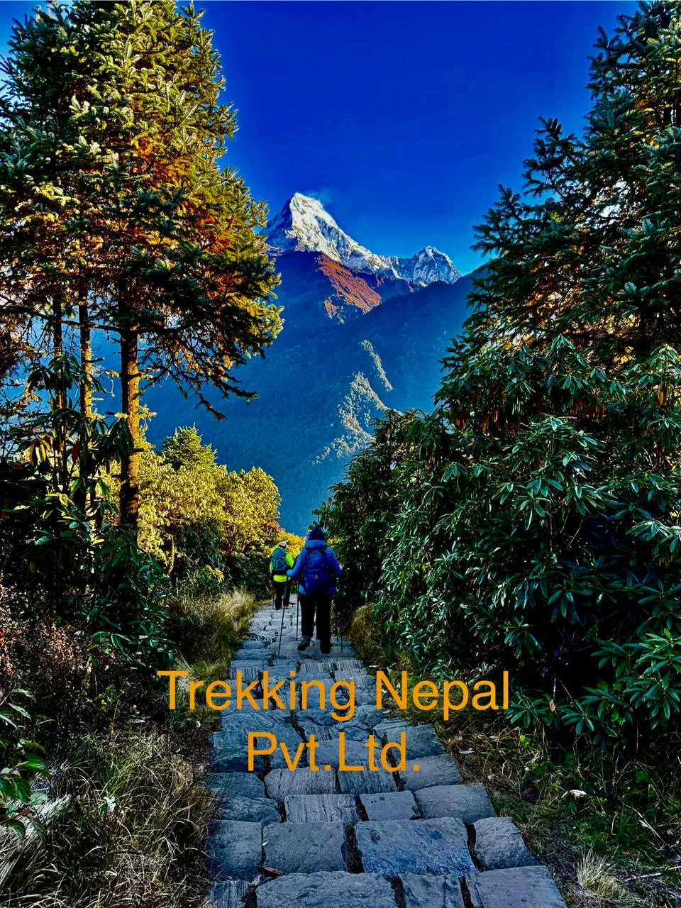 Ghorepani Poon Hill Trek – Best Short Trek in Nepal